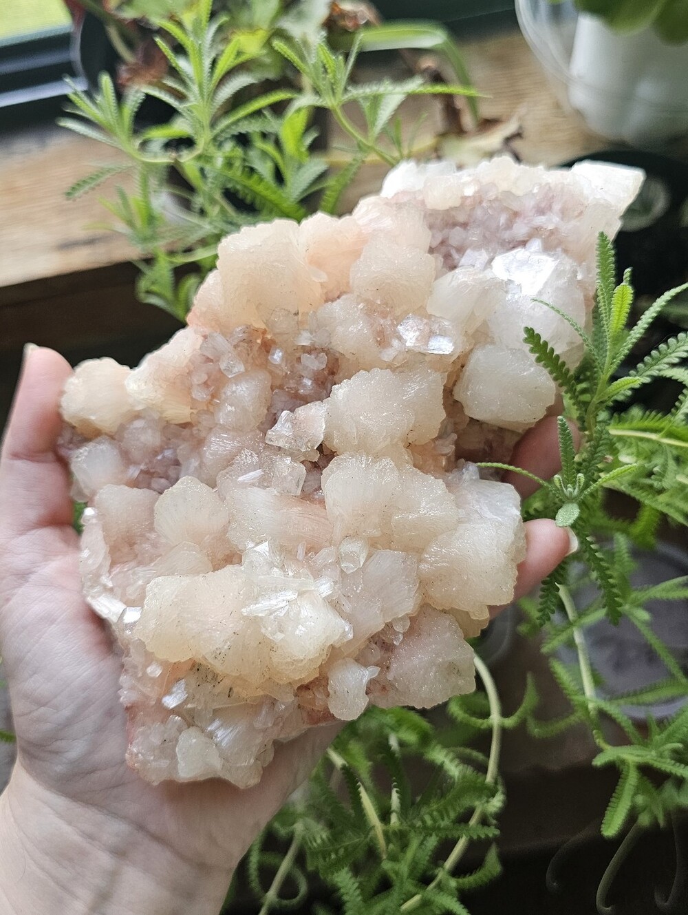 ALL OFFERS CONSIDERED! Pink Apophyllite Peach Stilbite Heulandite RARE SPECIMEN
